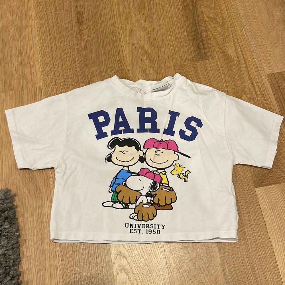 Zara Cropped Peanuts Top - Picture 1 of 1